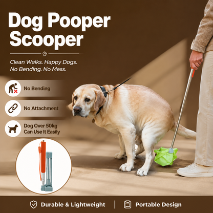 Cozyhomepet® SWOOPCATCH™